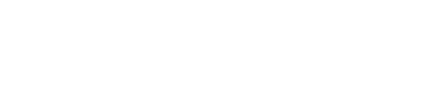 NOQX logo white